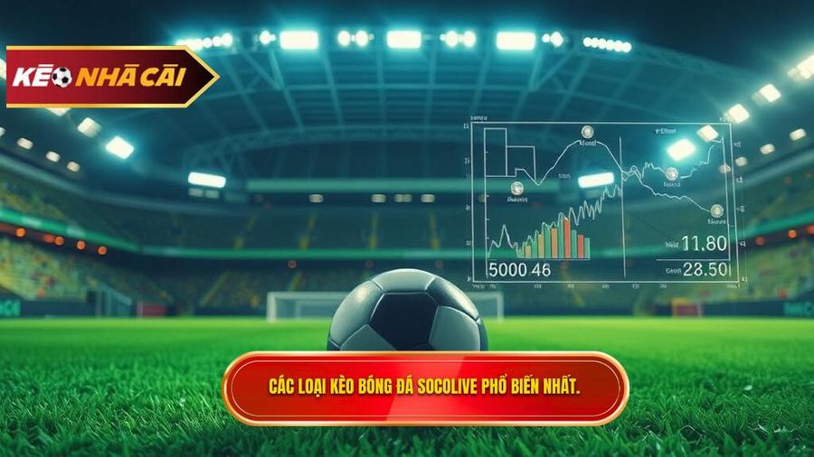 Các loại kèo bóng đá Socolive phổ biến nhất hiện nay