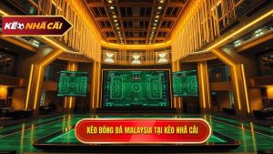 Kèo bóng đá Malaysia: Phân tích chuyên sâu và bí quyết soi kèo bất bại