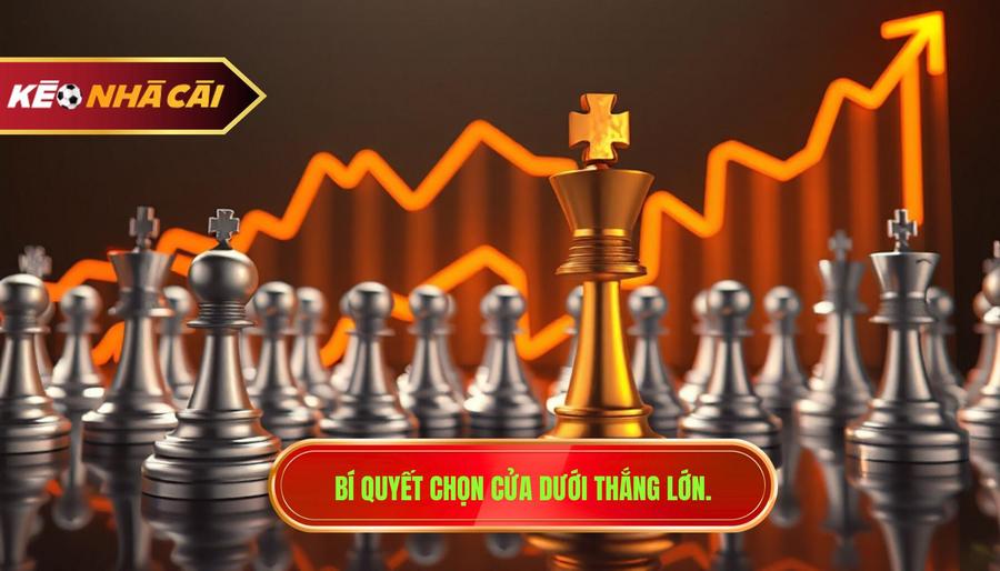 Phân tích chi tiết: Khi nào nên theo cửa dưới để hốt bạc?